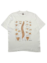 Load image into Gallery viewer, 1992 Anatomical Chart Co. Spine Diagram Tee (XL)
