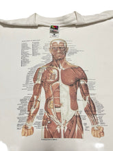 Load image into Gallery viewer, Mid-Late 1990s Muscular Anatomy Tee by Anatomical Chart Co (L)
