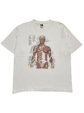 Load image into Gallery viewer, Mid-Late 1990s Muscular Anatomy Tee by Anatomical Chart Co (L)
