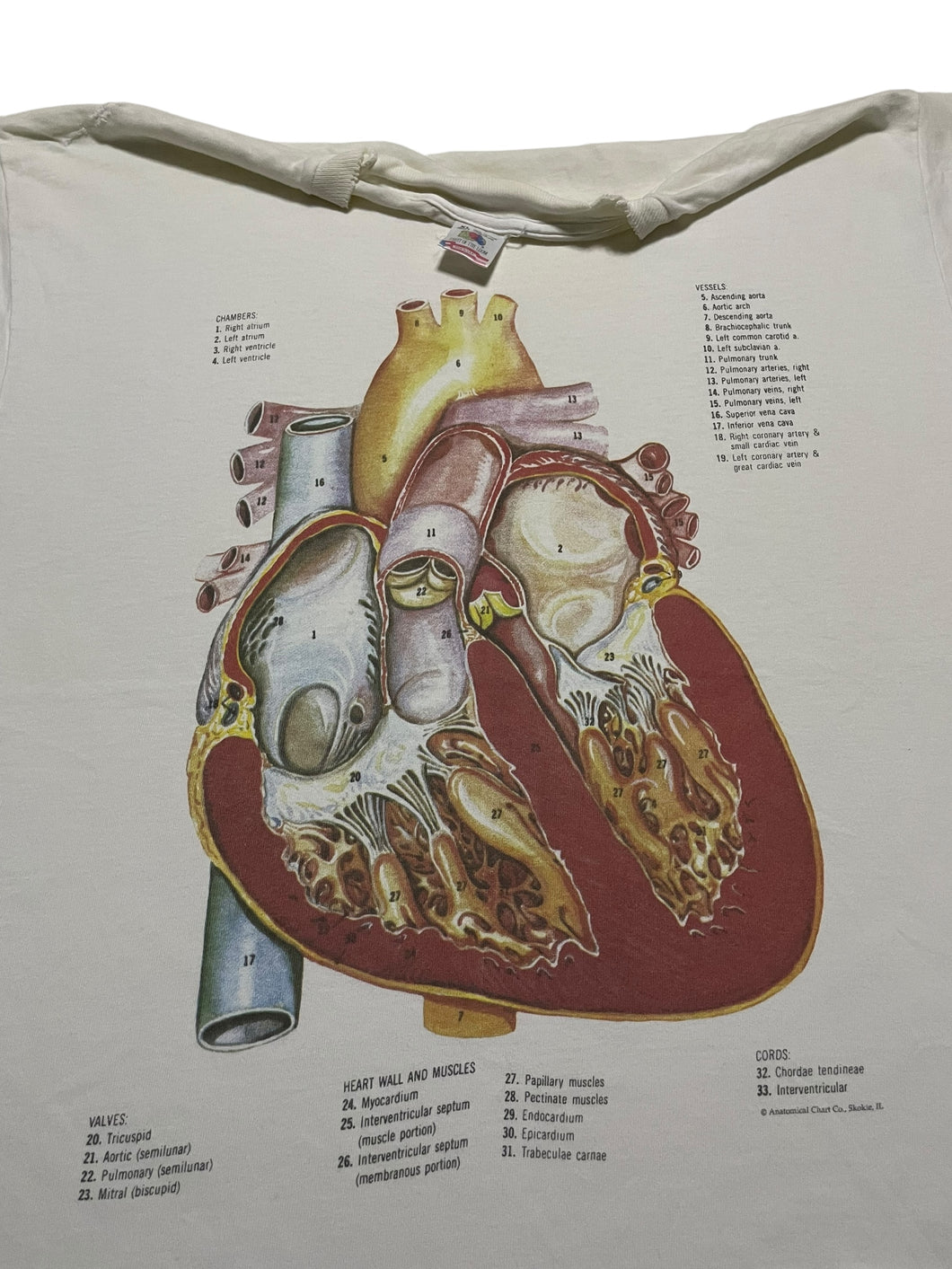 Early 1990s Heart Anatomy Tee by Anatomical Chart Co (XL)