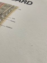 Load image into Gallery viewer, Early 1990s “Baby on Board” Anatomical Chart Tee (XL)
