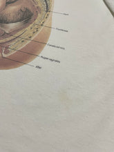 Load image into Gallery viewer, Early 1990s “Baby on Board” Anatomical Chart Tee (XL)
