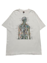 Load image into Gallery viewer, Mid-1990s Anatomy Tee by Anatomical Chart Co
