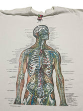 Load image into Gallery viewer, Mid-1990s Anatomy Tee by Anatomical Chart Co
