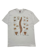 Load image into Gallery viewer, Mid-1990s Anatomical Chart Co. Spine Tee (L)
