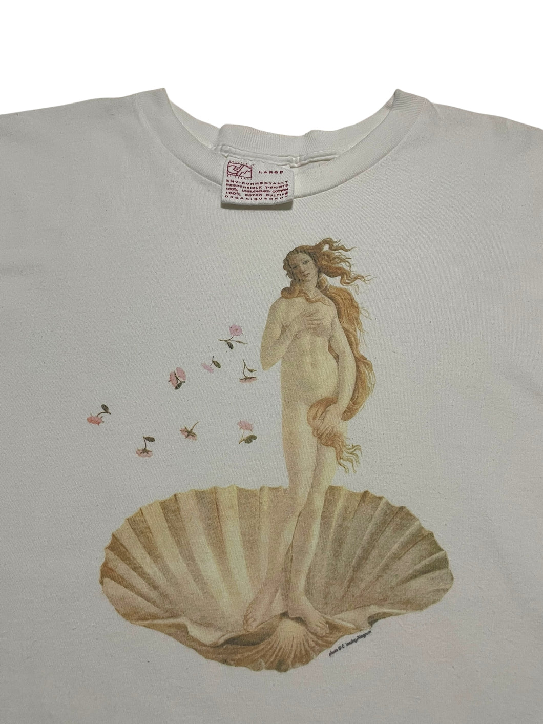 1990s Sandro Botticelli “Venus” Tee (L)